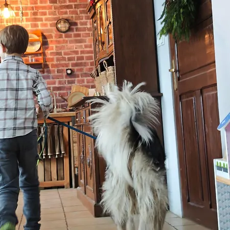 Dom Na Poczatku Swiata Bauernhof Duszniki Zdrój