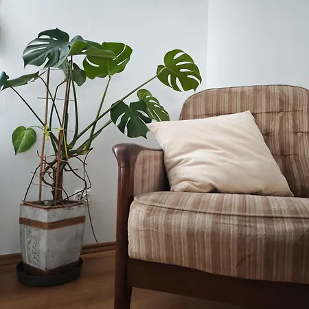 Bauernhof Dom Na Poczatku Swiata