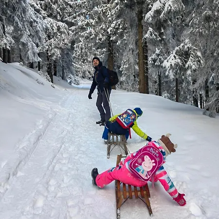 Dom Na Poczatku Swiata