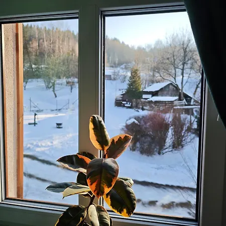 Dom Na Poczatku Swiata *