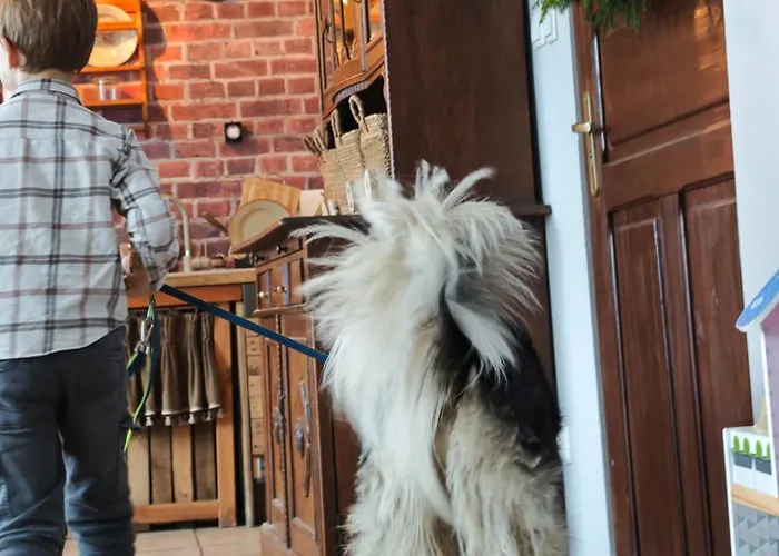 Dom Na Początku świata Gospodarstwo agroturystyczne Duszniki Zdrój