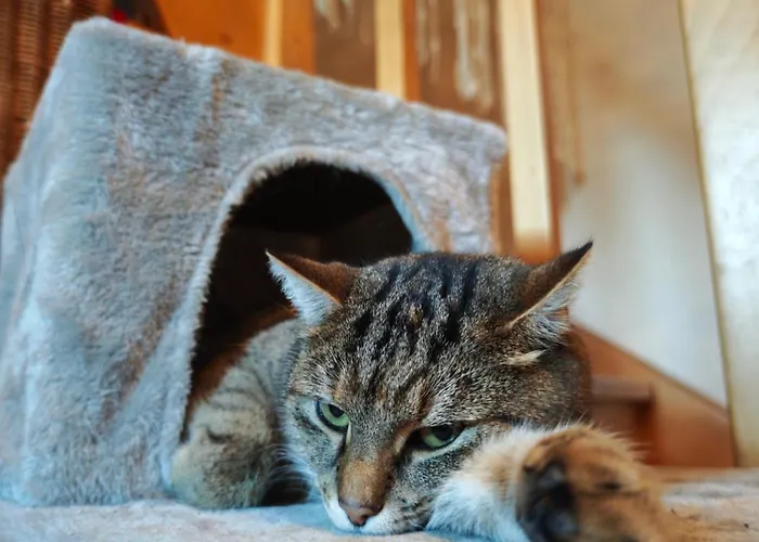 Dom Na Początku świata Gospodarstwo agroturystyczne