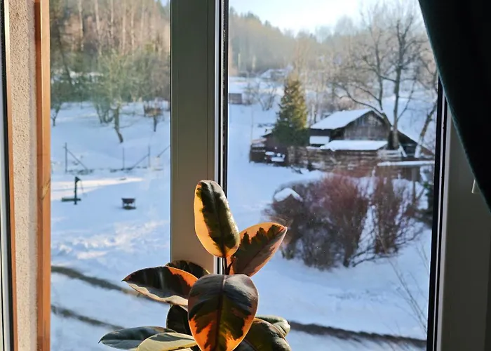 Dom Na Poczatku Swiata *